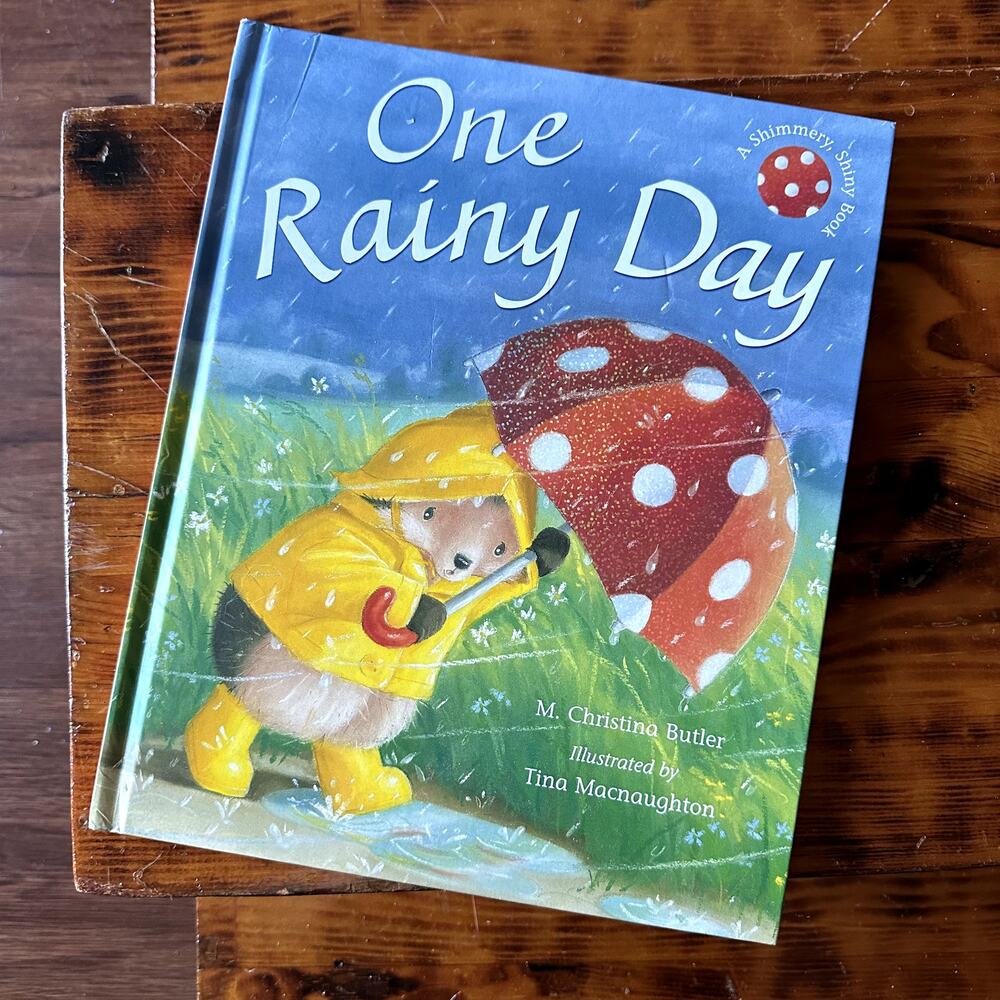One Rainy Day A Shimmery, Shiny Book Hardcover Book